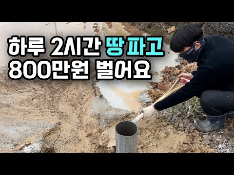 인적 드문 시골에 땅파서 하루 일당 800만 원 받는 대표님