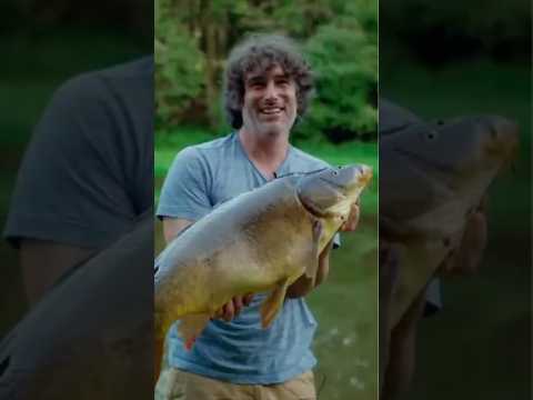 KARPFEN | Teil 3 | Der FANG!