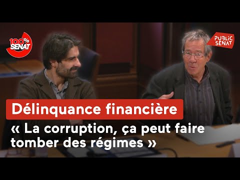 Délinquance financière : audition de journalistes d'investigation