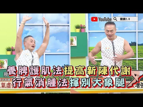 養脾護肌法 提高新陳代謝 行氣消腫法 揮別大象腿 健康2.0 精華 彥寬老師 @tvbshealth20