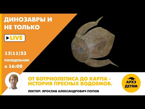 Занятие "От ботриолеписа до карпа — история пресных водоемов" кружка "Динозавры и не только"