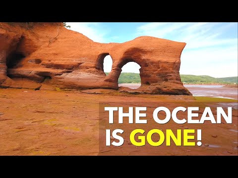 The Ocean Is Gone!
