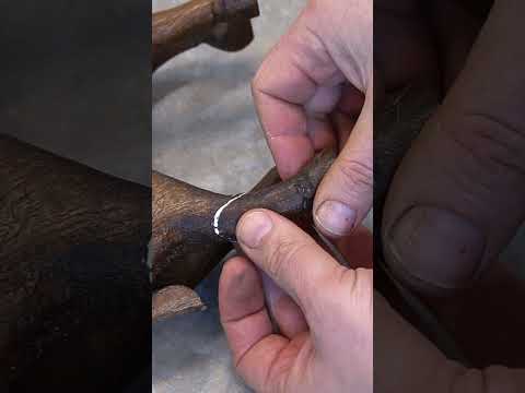 Watch how expert repairs broken horse leg