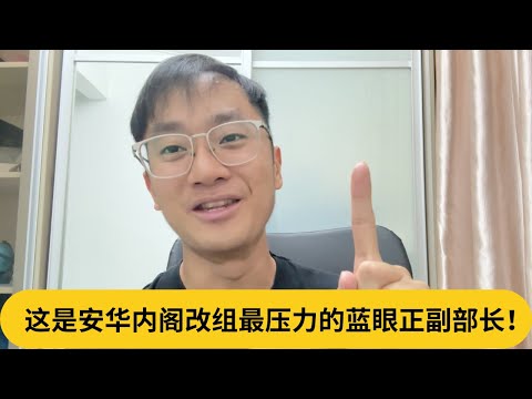 网民继续开枪，法丽娜闪都不急！这是安华内阁改组最压力的蓝眼正副部长！｜阿耀闲聊政治