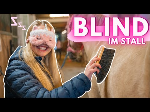 BLIND IM STALL // Wie gut kenne ich mich aus?