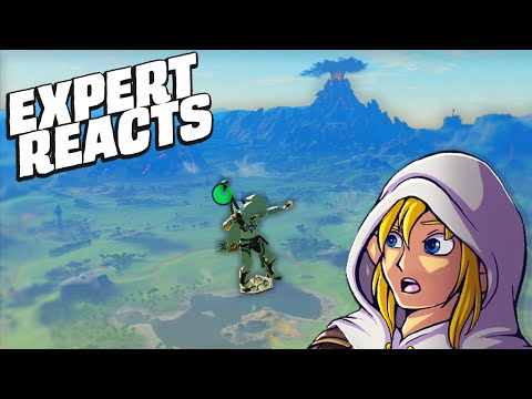 Zelda BOTW Expert Reacts To MORE Viral Clips
