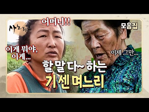 "그만 좀 지껄여" 며느리의 도가 지나친 잔소리에 지쳐버린 시어머니 | 사노라면 모음집