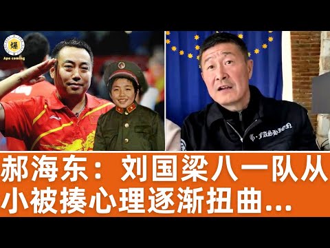 【郝海东】 刘国梁从小在八一队经常被揍,心理逐渐扭曲变态丨郝董是打架打出来的,10岁入伍跟13岁的打架丨中共就是最大黑社会崇尚丛林法则,运动员被逼成了黑社会丨郝董踢出来没有欺负过队内小球员...