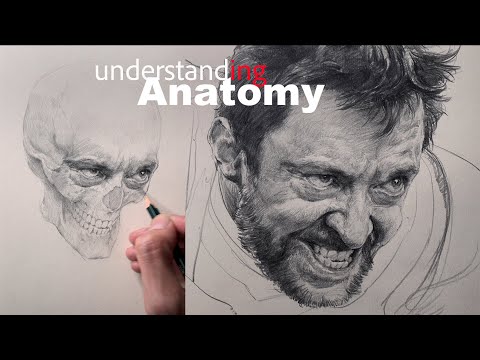 Watch Me Transform a Skull into Wolverine | Realistic Anatomy Drawing