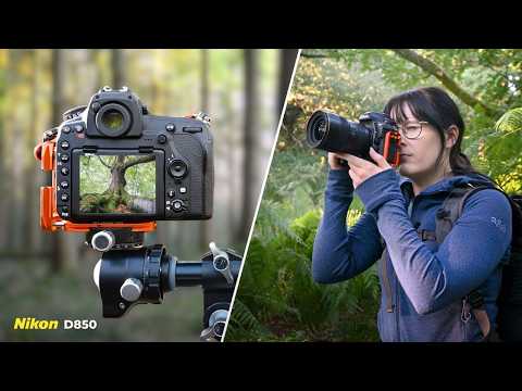 3 Trees I Can't Quite Photograph...Yet