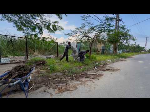 Are you brave enough to CLEAN 300 meters of overgrown sidewalk in 24 hours? Check us out!