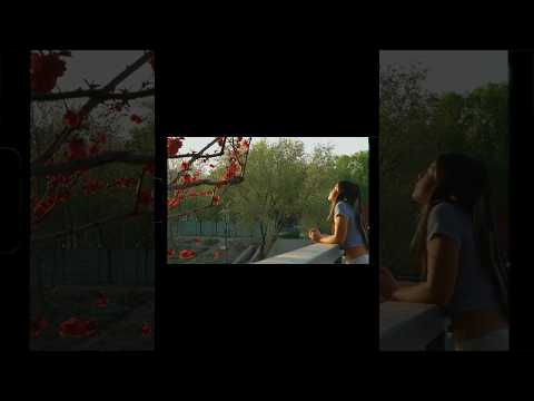 a different perspective