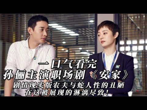 一口气看完孙俪主演都市职场剧《安家》剧情现实版农夫与蛇，人性的丑陋在这被展现的淋漓尽致！
