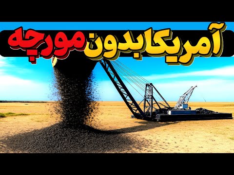 اونا تصمیم گرفتن کل مورچه ها رو از بین ببرن! نتیجه بعد از 30 سال همه رو شوکه کرد!