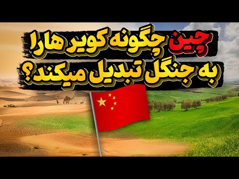 پروژه شگفتی ساز چین در تبدیل کویرهای این کشور به جنگل