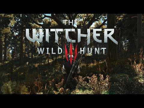 Witcher 3: Solitude in Velen [Ambience / Music]