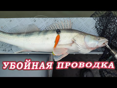 I spied on the WIRE of the LOCALS and caught a bucket of PIKE-PERCH!