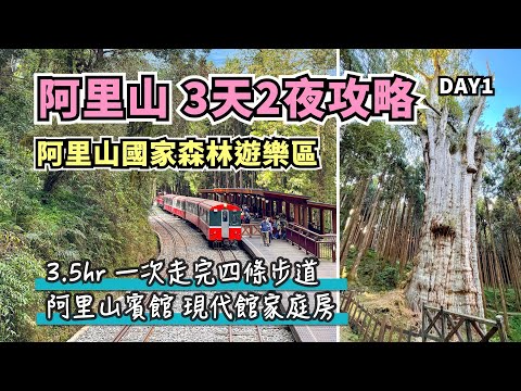 嘉義阿里山3天2夜攻略D1|阿里山國家森林遊樂區,一次走完巨木群棧道、姊妹潭、水山線步道!入住阿里山賓館現代館,一泊二食麗景廳晚餐