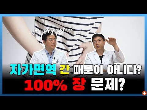 의사가 장담한다! 갑상선은 100% 장 문제다! 자가면역 7편ㅣ마음편한유외과 ㅣ 자율신경기능의학 ㅣ 아프지마쇼