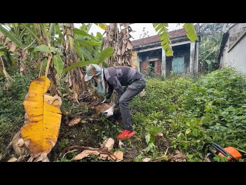 Cleaning the yard is satisfying and observing to improve your soul ASMR