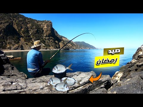 تحدي صيد السمك في رمضان 🌙لم أتوقف عن سحب الأسماك طول اليوم 😱