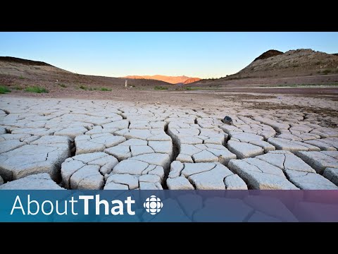 AI's hidden climate costs | About That