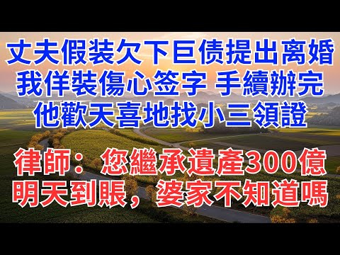 丈夫假装欠下巨债提出离婚,我佯裝傷心签字,手續辦完他歡天喜地找小三領證,律師:您繼承遺產300億,明天到賬,婆家不知道嗎?#為人處世#情感#故事#小說#家族恩怨#生活經驗#情感故事