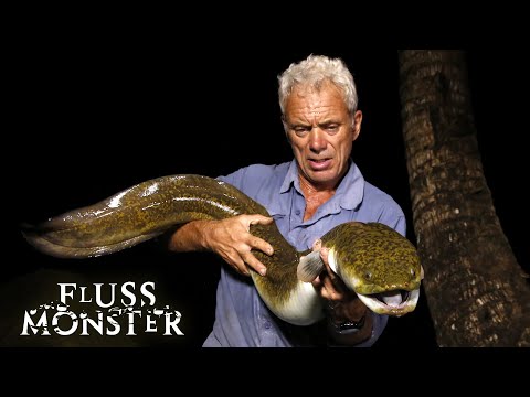 Die Killerfische des Südpazifik: Zwei U-Boot-Angreifer | S7 E05 | Fluss Monster