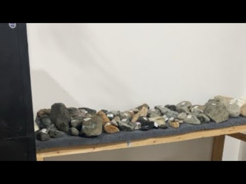 今天供货部大量新货上架！快来看看直播间看看有没有合适的！性价比如何！