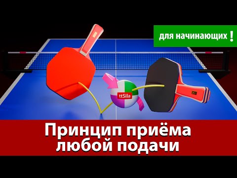 Как научиться принимать любую подачу. Настольный теннис для начинающих