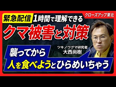【ツキノワグマ被害完全版】なぜクマは増えるのか？全国の人も他人事ではない。ツキノワグマは人を食べる？冬眠しないは嘘だが、冬眠は睡眠ではない、などツキノワグマ博士に聞きたいこと全て聞いてみた！