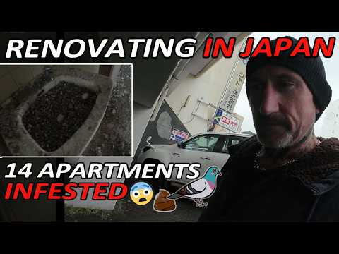 Renovating 14 Old Japanese Apartments 🤨 - (Episode 1 - First Look) - I am Tim