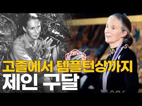 한국과의 특별한 인연 | 침팬지의 어머니 제인 구달 | 케임브리지 박사, 템플턴상 / 최재천의 아마존, 전지적 관찰자 시점