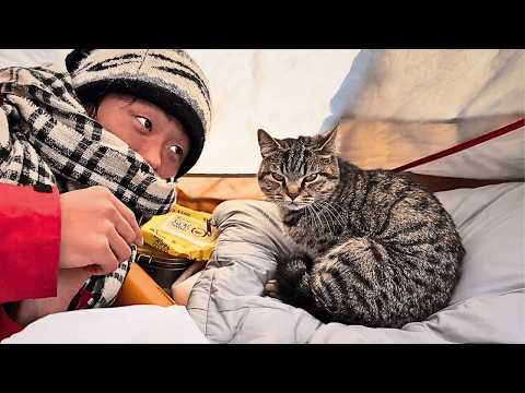 A stray cat entered our tent for warmth. After finding her 3 kittens, we brought them on our journey