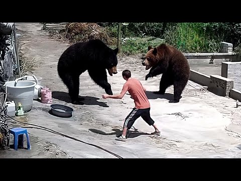 75 Times Animals Messed With Wrong Opponents