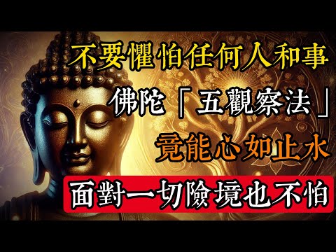 不要懼怕任何人和事，佛陀親授“五觀察法”竟能心如止水！面對一切險境也不懼#佛學 #禪宗 #佛教哲學 #佛教經典