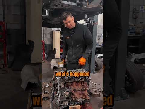 COWBOY SERIES episode 2 🦾 #transit #mechanic #wetbelt #engine #carrepair