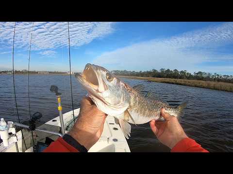 DIY Soft Plastic Swimbaits vs Cold-Water Trout (Surprising Results) #handmadelure #fishinglure