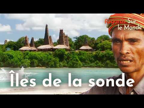 Îles de la Sonde, Indonésie : traditions ancestrales et derniers rhinocéros de Java | Vu sur Terre