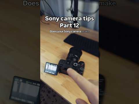 Turn off the ANNOYING sounds your Sony camera makes FAST!