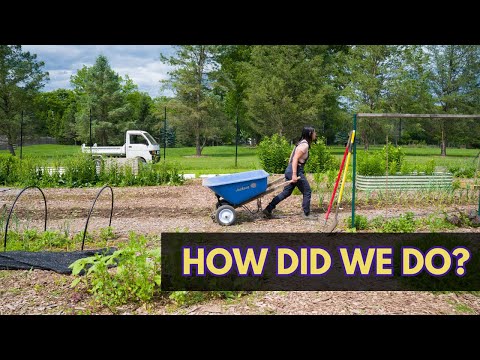 I sold fewer flowers but made better decisions: 2025 reflections