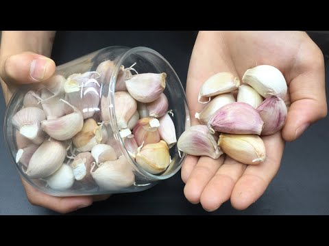 How to Store Garlic for a Whole Year Without Drying Out or Sprouting!