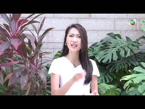 東張西望 | 少女懷疑被騙拍攝全裸照| 苦主攝影師終極對質