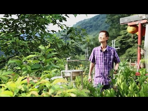 因為感受到牠的痛 陳博正當下決定要吃素