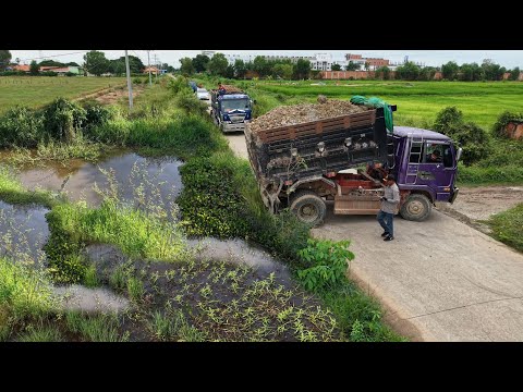 Be Watchful Start New Project!DumpTruck Pouring Soilrock Feild,Expert DozerD31A Pushing Soil Perfect