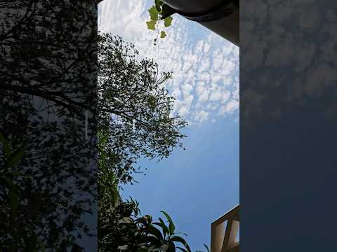 full vlog on my channel 🥞🦫