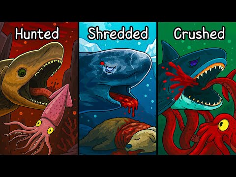 Why it Sucks To Be Born As a Shark