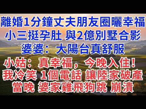 離婚1分鐘丈夫朋友圈曬幸福，小三挺孕肚與2億別墅合影，婆婆：大陽台真舒服，小姑子：真幸福，今晚入住！我冷笑，一個電話：讓陸家破產！當晚婆家全員雞飛狗跳，崩潰！#慧心家事#為人處世#生活經驗#情感#戀愛