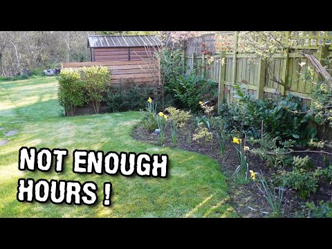 April 2025 in the garden and I’M RUNNING OUT OF TIME!