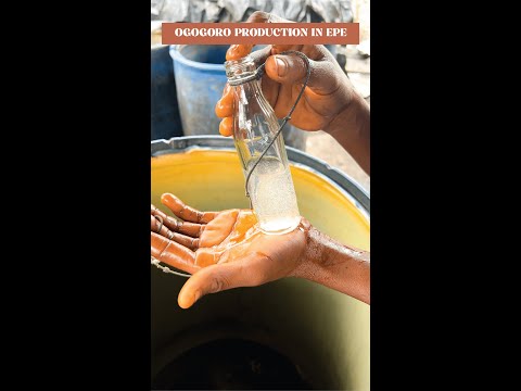 How Ogogoro (African gin) is made in Epe, Lagos!